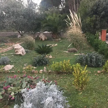 Geraeumige Mit Schoenem Garten By Interhome Apartamento *