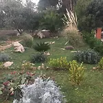 Geraeumige Mit Schoenem Garten By Interhome Apartman *