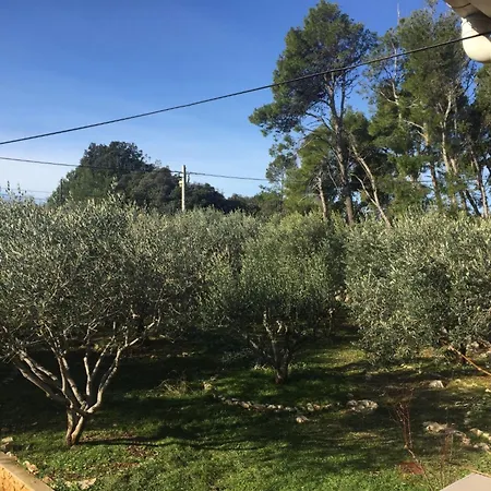 公寓 Geraeumige Mit Schoenem Garten By Interhome *